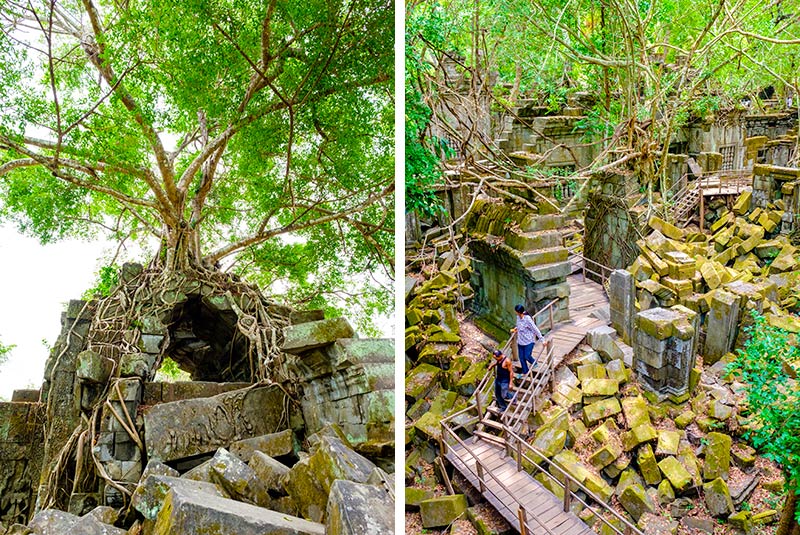 Prasat Beng Mealea temple ruins in Siem Reap Province, Cambodia