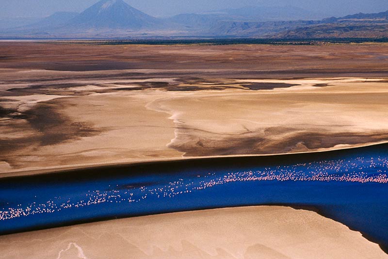 Flamingos in flight over Lake Natron, Kenya
