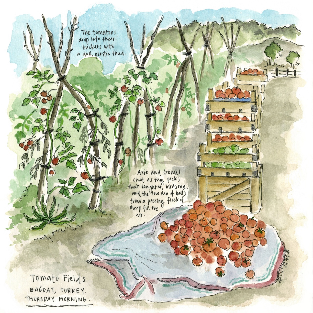 Two Angels in Anatolia Turkey by GeoEx