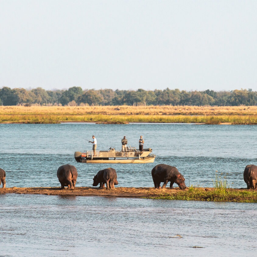Zambia fishing