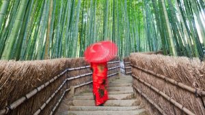 Woman walking through Arashiyama Bamboo Forest in Kyoto, Japan with GeoEx