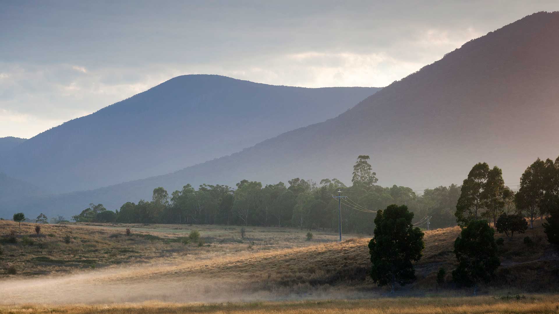 Yarra Valley, Healesville