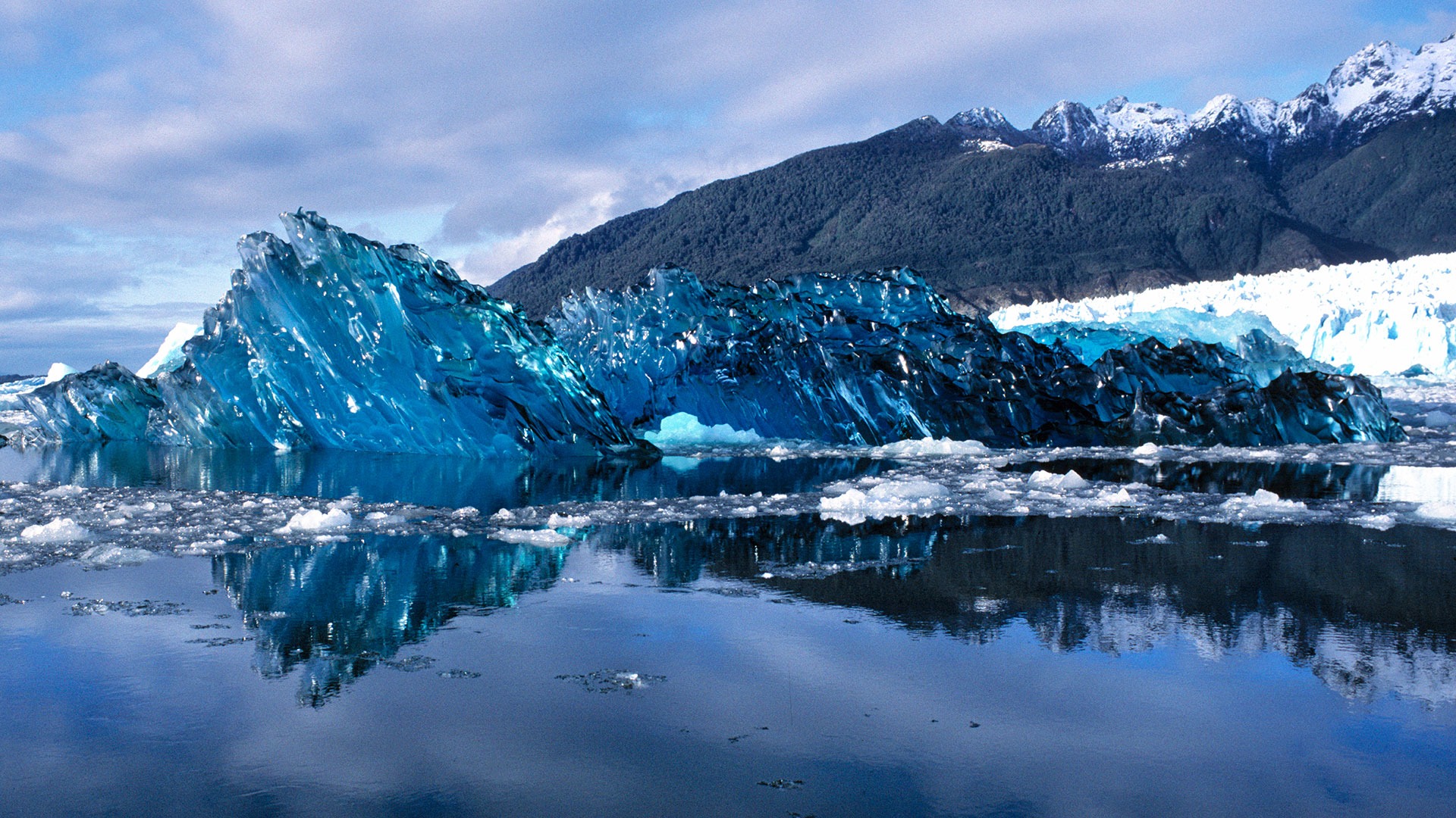 Newly-calved iceberg in Laguna San Rafael Lagoon National Park, Chile