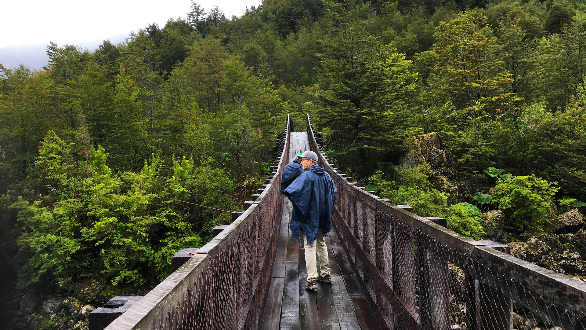 Hiker crossing a bridge in Queulat National Park