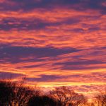 IMG_5326.JPG IMG_5326.JPG