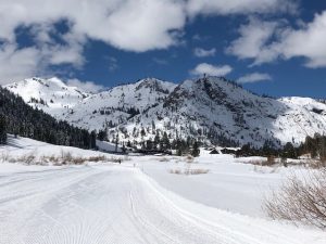 XC SV 4-20.jpg XC SV 4-20.jpg