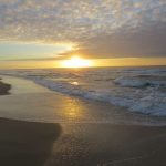 IMG_5685.jpg IMG_5685.jpg