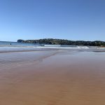 141DC319-2F96-4060-9C3A-7DFD2F25ABDF.jpeg 141DC319-2F96-4060-9C3A-7DFD2F25ABDF.jpeg