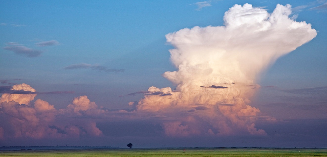 A large cumulonimbus cloud forms over Lake Victoria, Kenya