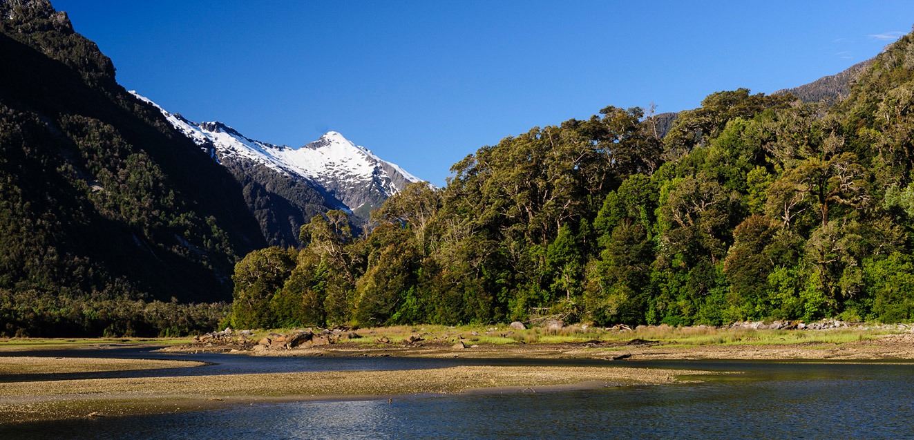 Snowcapped peaks and Valdivian rain forest in Pumalin Park, Chile's Route of Parks