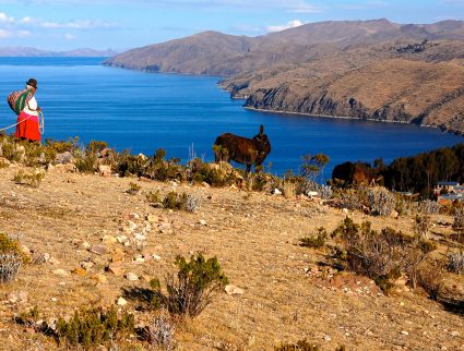 Local woman in traditional clothing with a donkey overlooking Lake Titicaca, a highlight of a Bolivia trip itinerary.