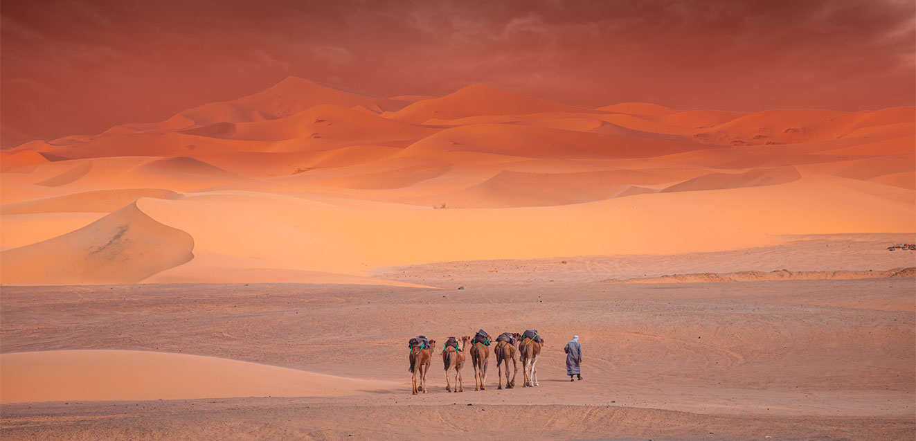 Morocco Camel Caravan