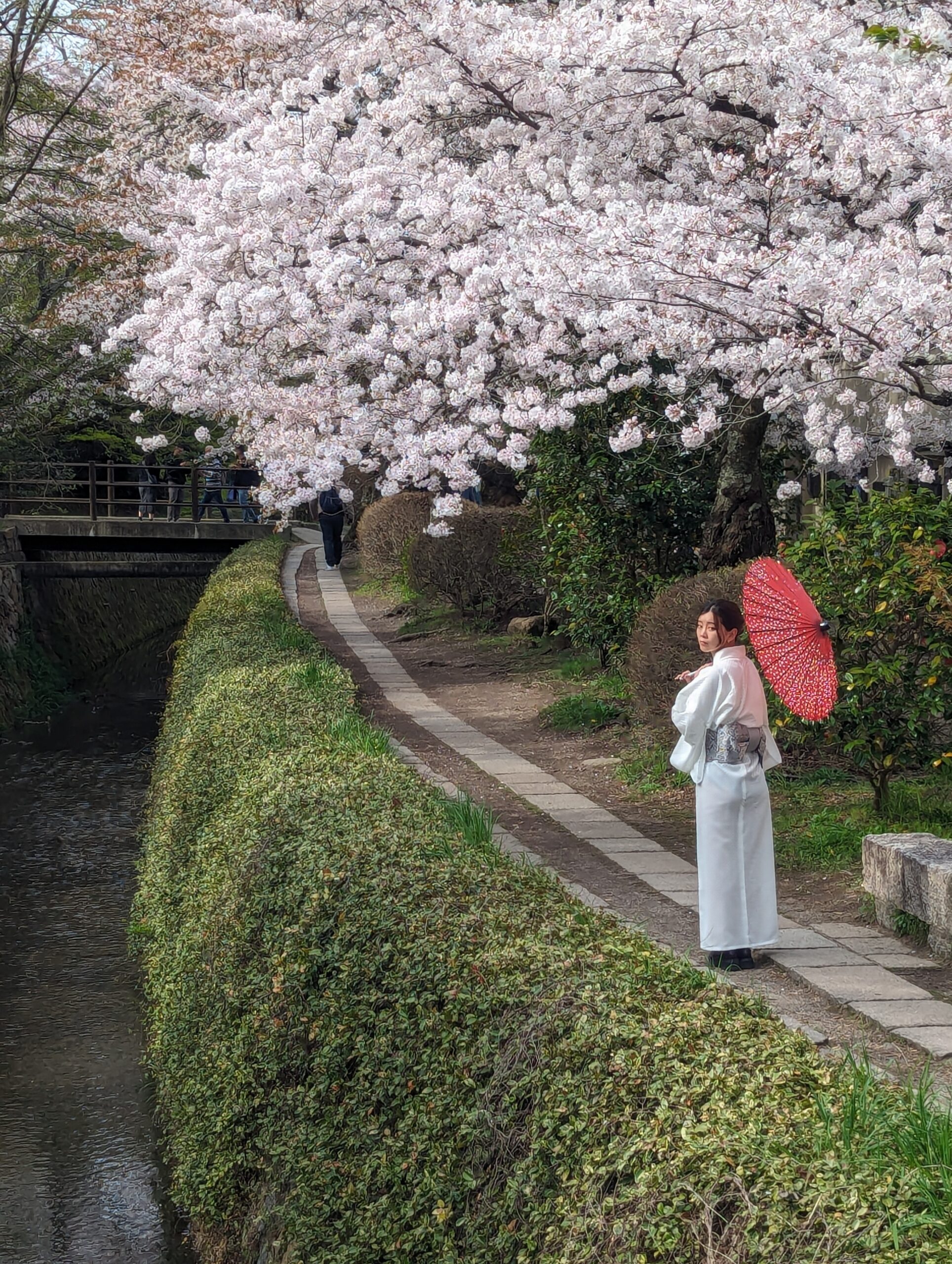 Travel Photo: Traditionally dressed woman on the Philosophers Path in Kyoto, Japan.