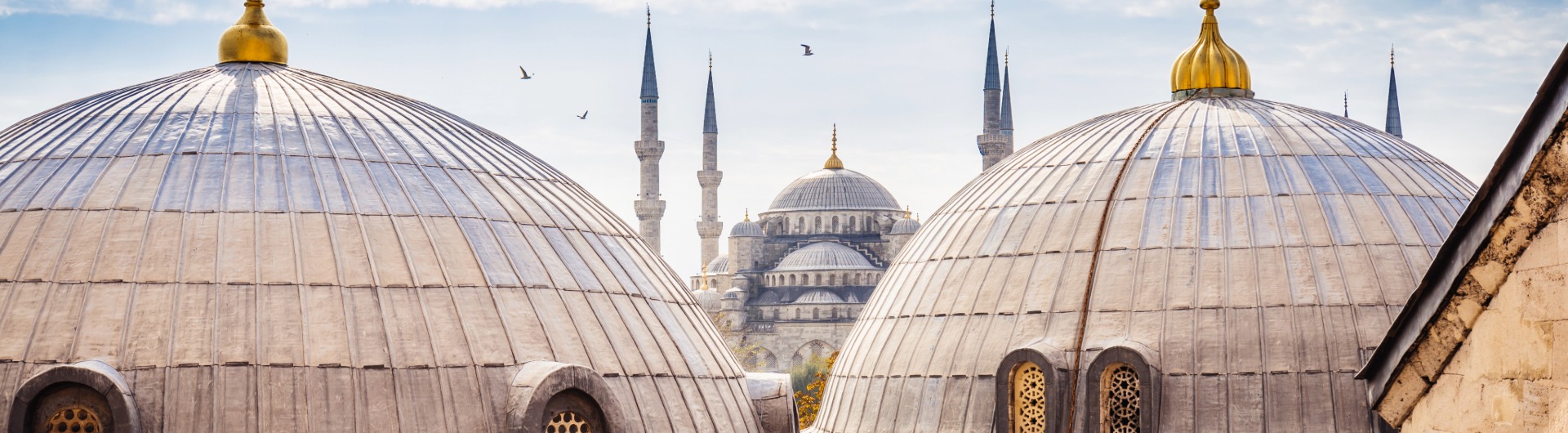 Blue Mosque & Aya Sofia