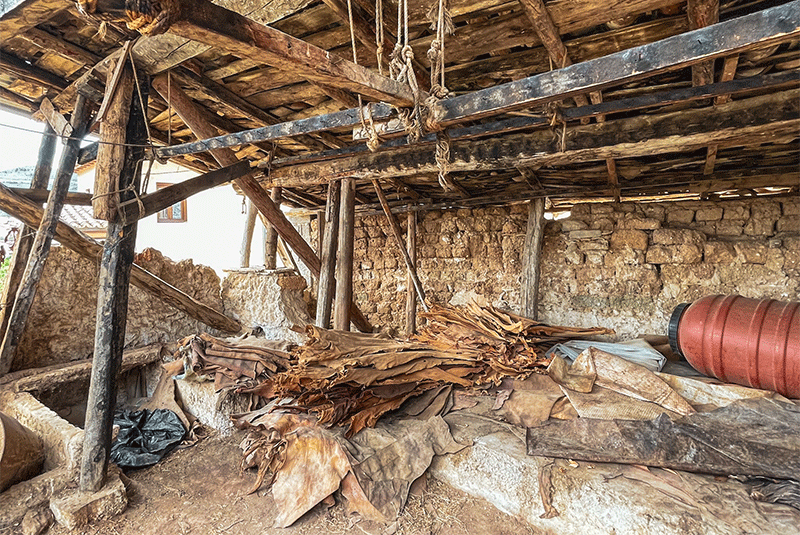 Tanner in Amfissa, Greece